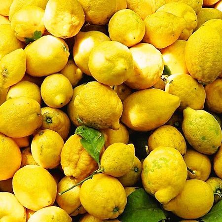 Il Giardino Incantato Μοντερόσο αλ Μάρε Εξωτερικό φωτογραφία