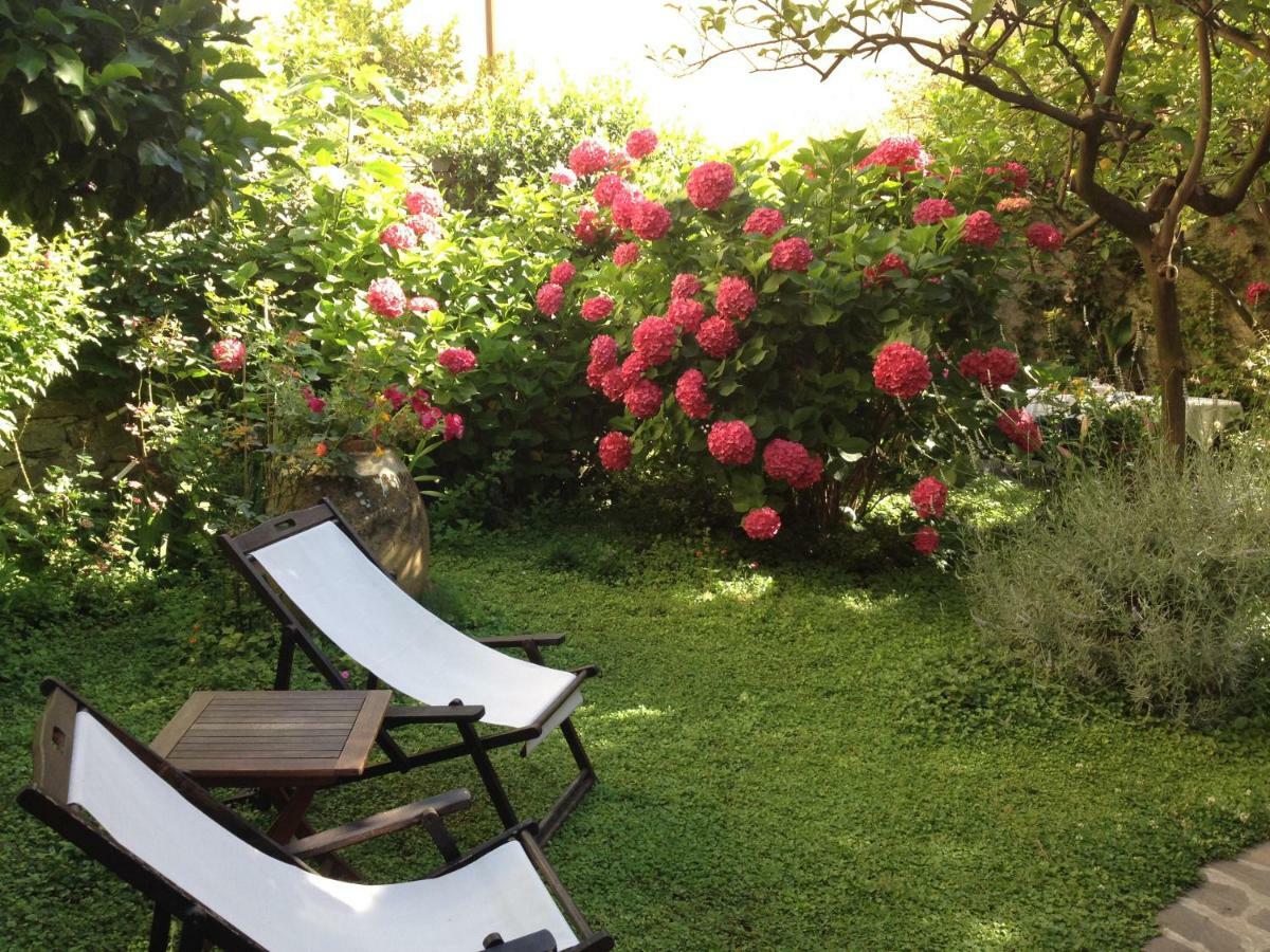Il Giardino Incantato Μοντερόσο αλ Μάρε Εξωτερικό φωτογραφία